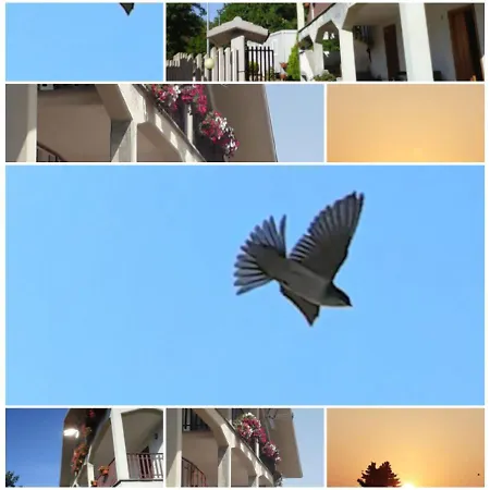 Il Nido Delle Rondini *