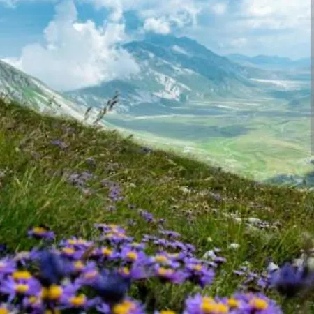 Il Nido Delle Rondini Apartment