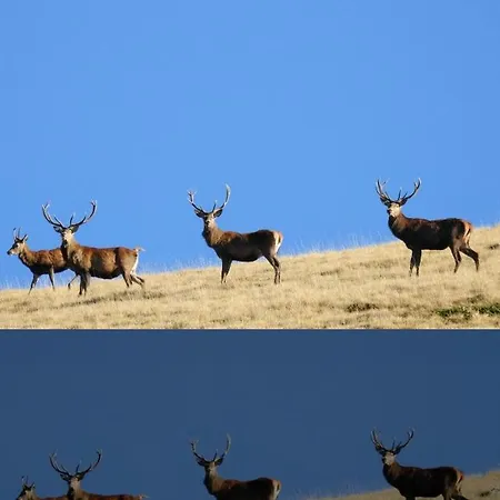 Apartment Il Nido Delle Rondini
